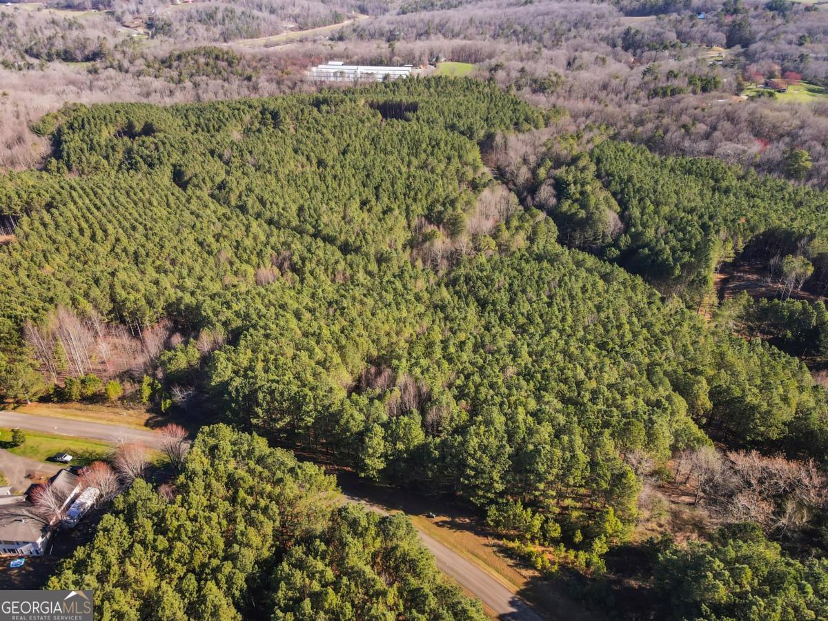 0 Foxpaw Leaf Lane Ellijay GA 30536