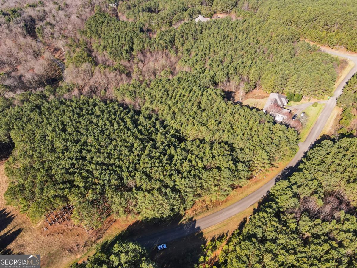 0 Foxpaw Leaf Lane Ellijay GA 30536