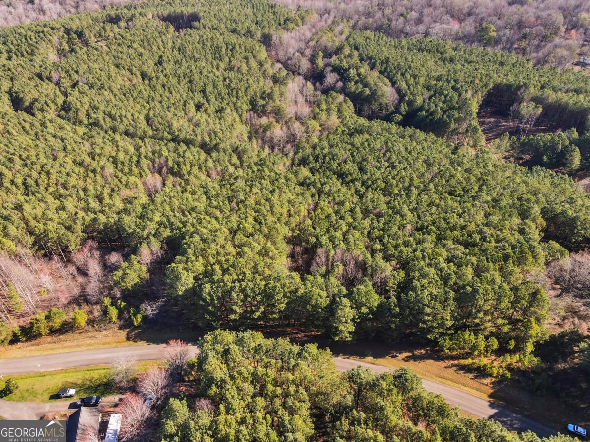 0 Foxpaw Leaf Lane Ellijay GA 30536