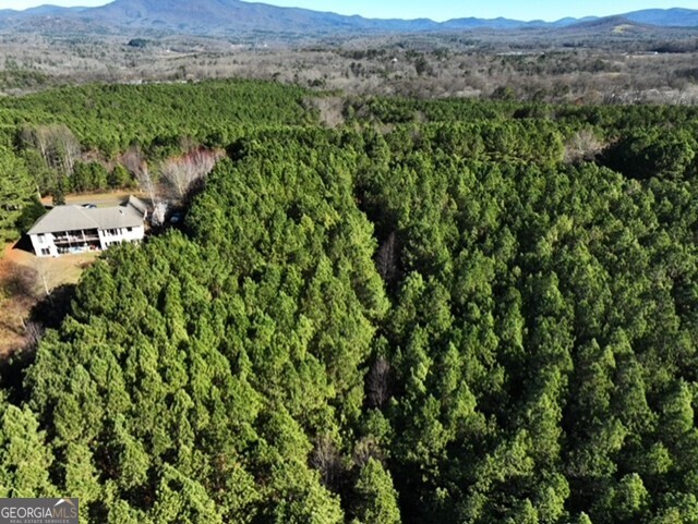 0 Foxpaw Leaf Lane Ellijay GA 30536