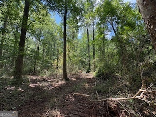 Lot 17 Smith Road Thomaston GA 30286