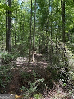 Lot 17 Smith Road Thomaston GA 30286