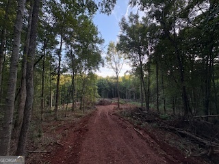 Lot 17 Smith Road Thomaston GA 30286