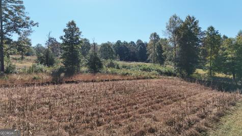 0 Town Creek Road Cleveland GA 30528