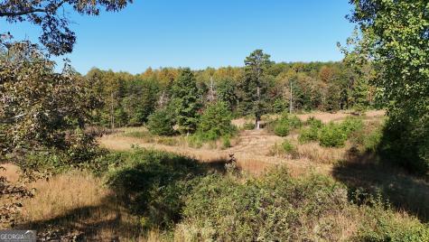 0 Town Creek Road Cleveland GA 30528