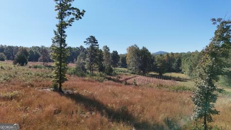 0 Town Creek Road Cleveland GA 30528