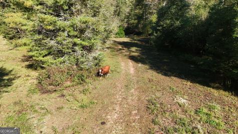 0 Town Creek Road Cleveland GA 30528