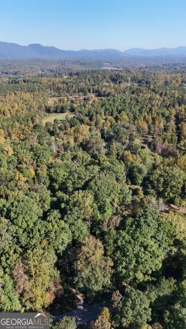 0 Town Creek Road Cleveland GA 30528