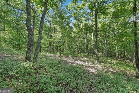 Lot 59 Mountain Sweet Drive Clarkesville GA 30523