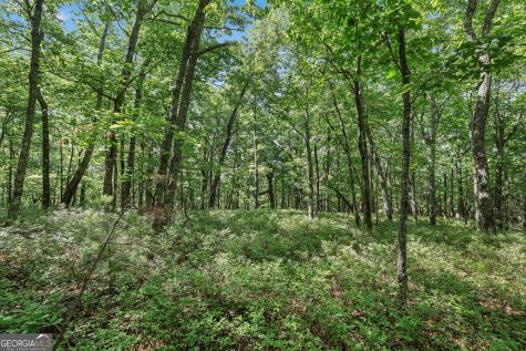 Lot 59 Mountain Sweet Drive Clarkesville GA 30523