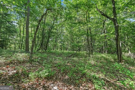 Lot 59 Mountain Sweet Drive Clarkesville GA 30523