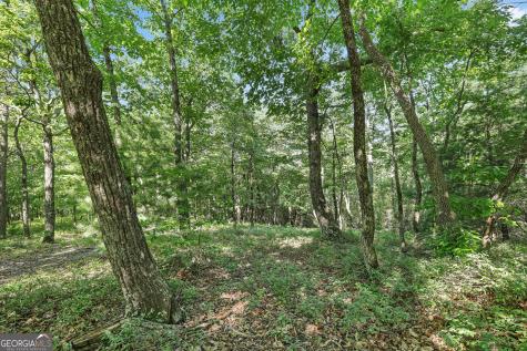 Lot 59 Mountain Sweet Drive Clarkesville GA 30523
