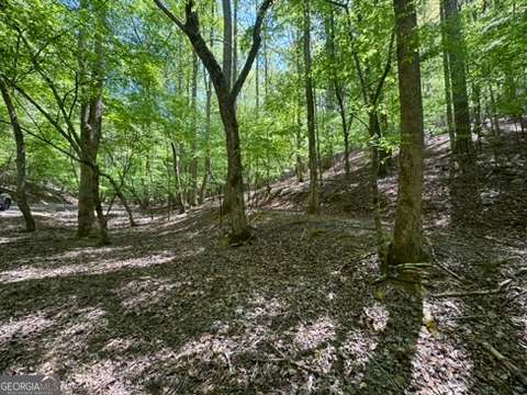 Lot 1972 Nancy Court Ellijay GA 30540