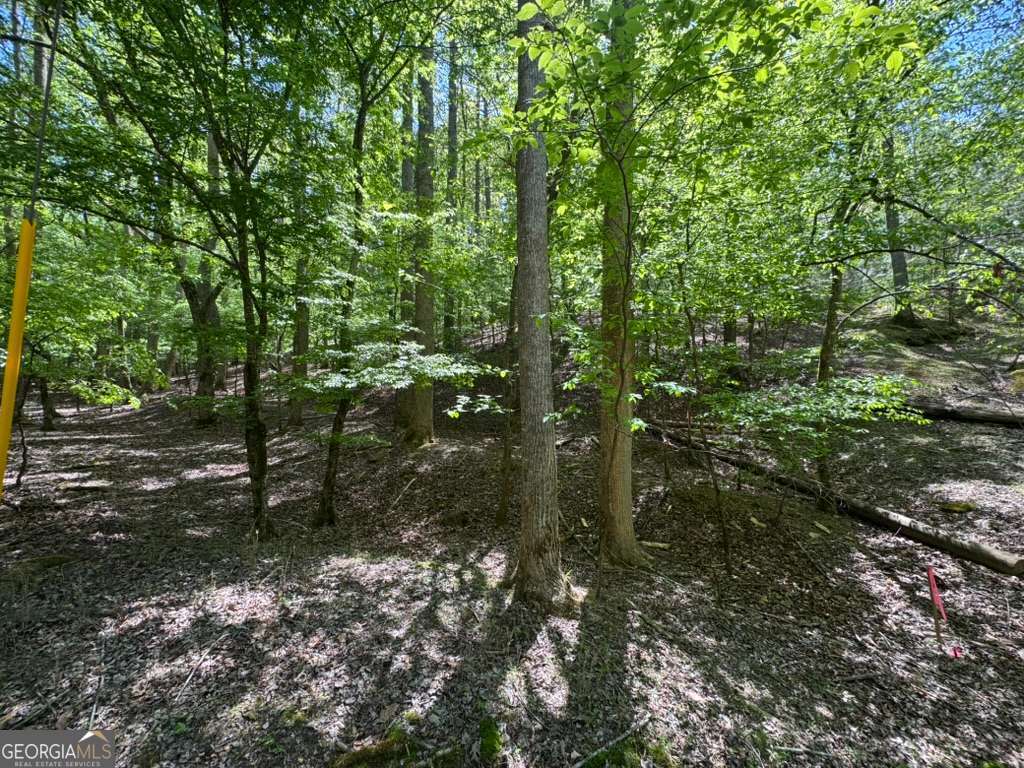Lot 1972 Nancy Court Ellijay GA 30540