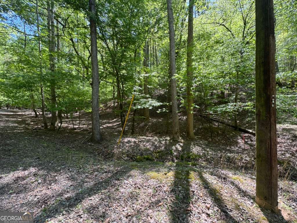 Lot 1972 Nancy Court Ellijay GA 30540