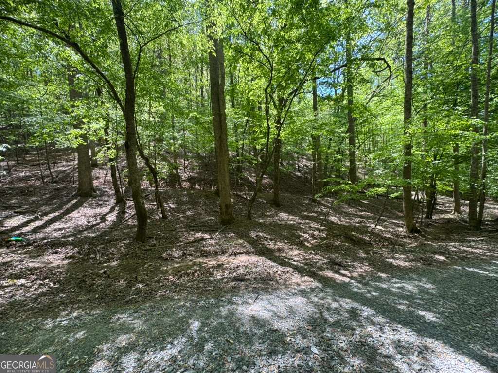 Lot 1972 Nancy Court Ellijay GA 30540