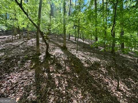 Lot 1972 Nancy Court Ellijay GA 30540