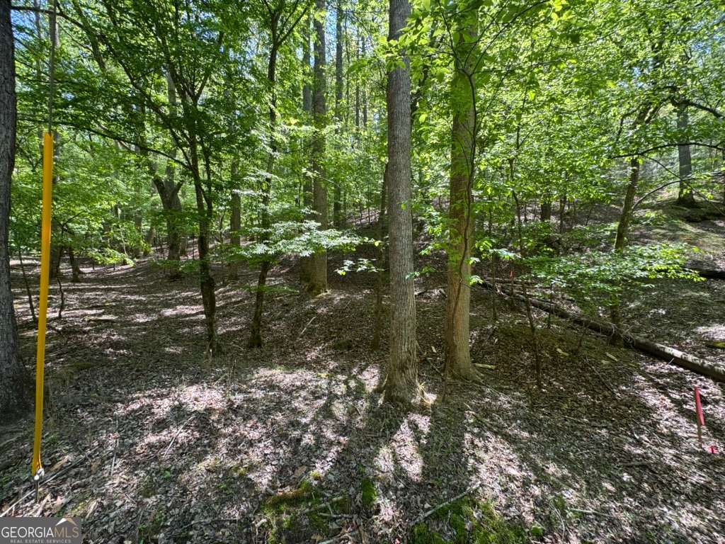 Lot 1972 Nancy Court Ellijay GA 30540