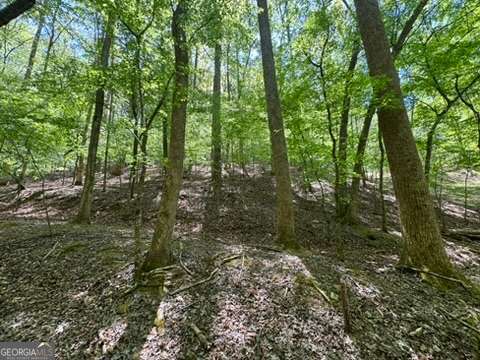 Lot 1972 Nancy Court Ellijay GA 30540