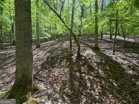 Lot 1972 Nancy Court Ellijay GA 30540