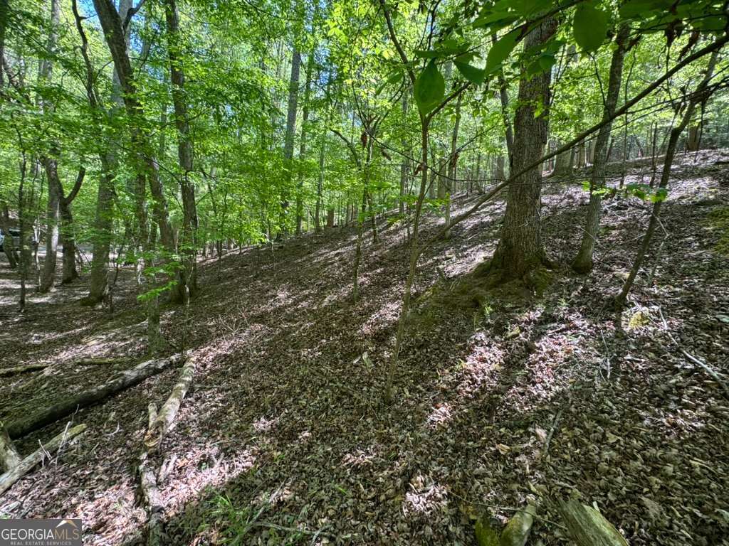 Lot 1972 Nancy Court Ellijay GA 30540