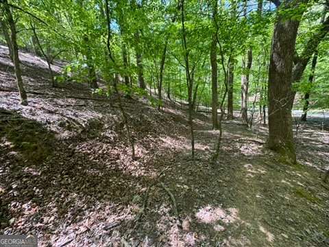 Lot 1972 Nancy Court Ellijay GA 30540