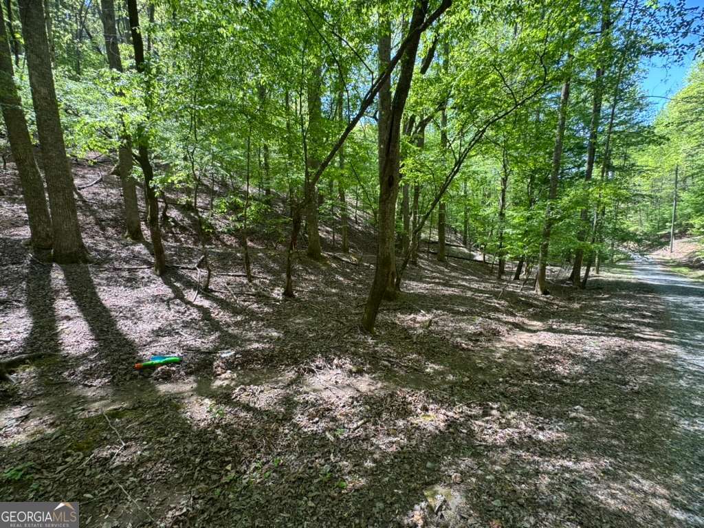 Lot 1972 Nancy Court Ellijay GA 30540