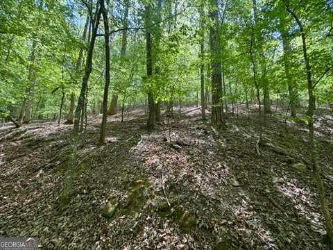 Lot 1972 Nancy Court Ellijay GA 30540