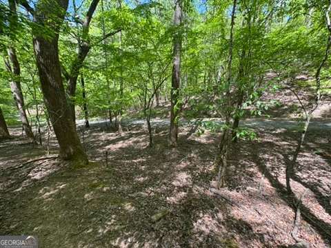 Lot 1972 Nancy Court Ellijay GA 30540