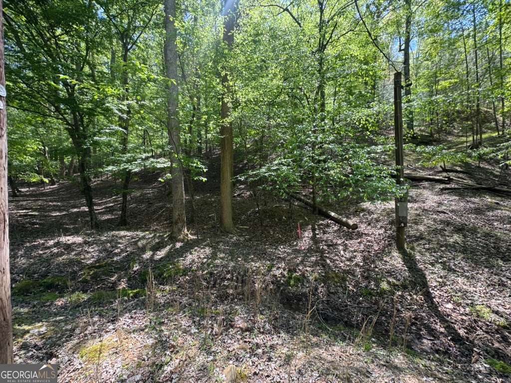 Lot 1972 Nancy Court Ellijay GA 30540