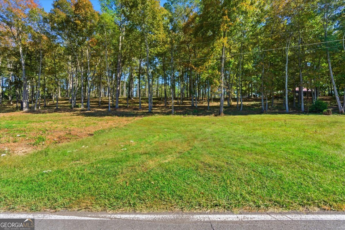 0 Cave Spring Road Cedartown GA 30125