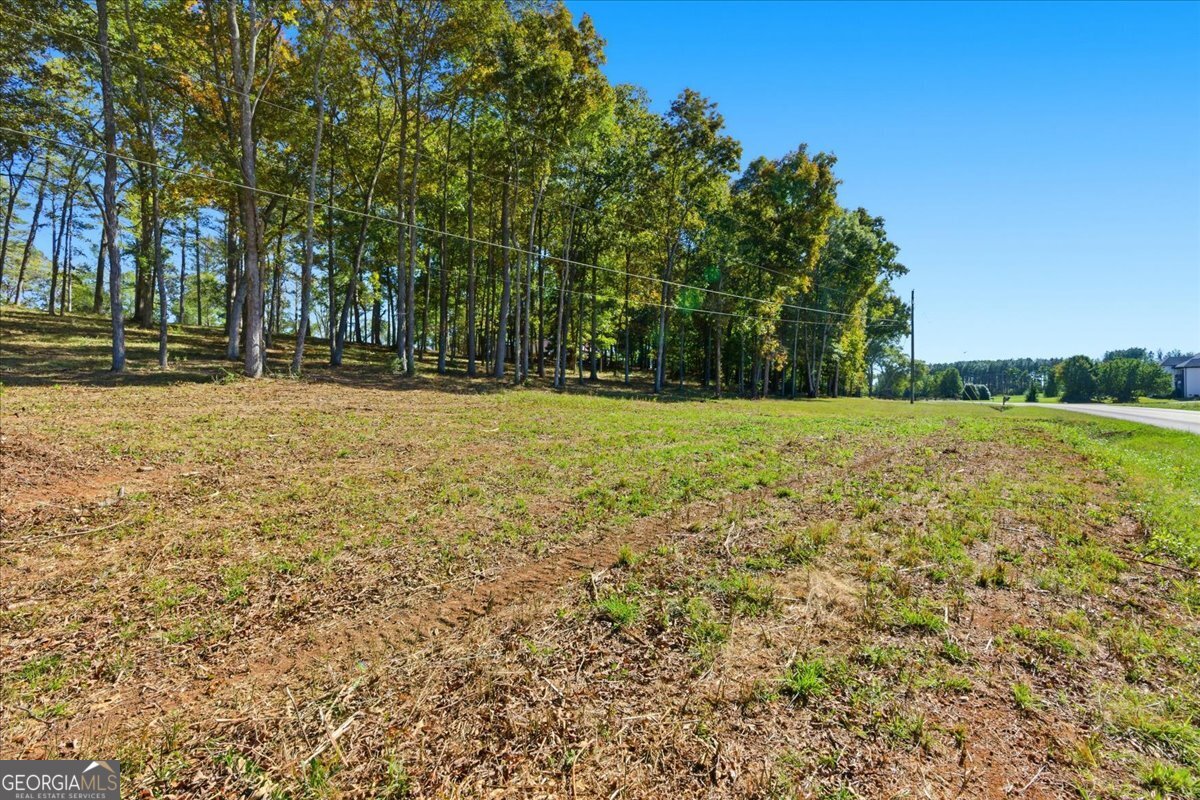 0 Cave Spring Road Cedartown GA 30125