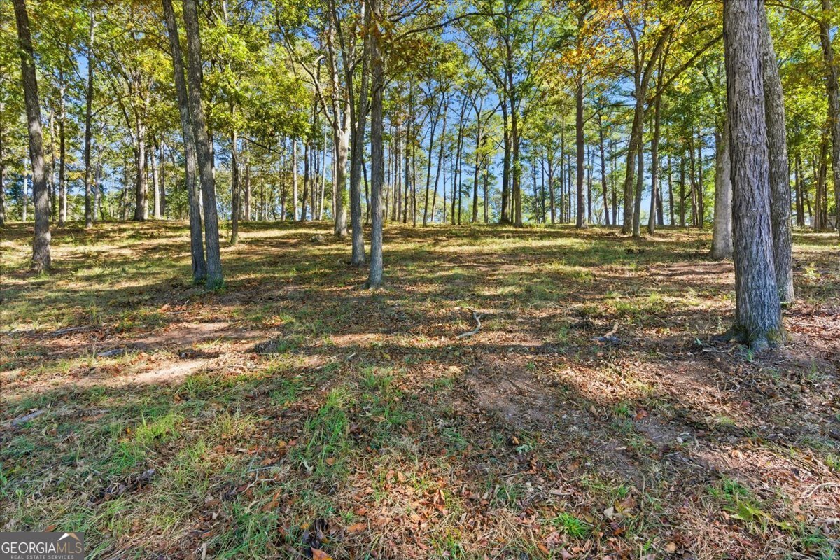 0 Cave Spring Road Cedartown GA 30125