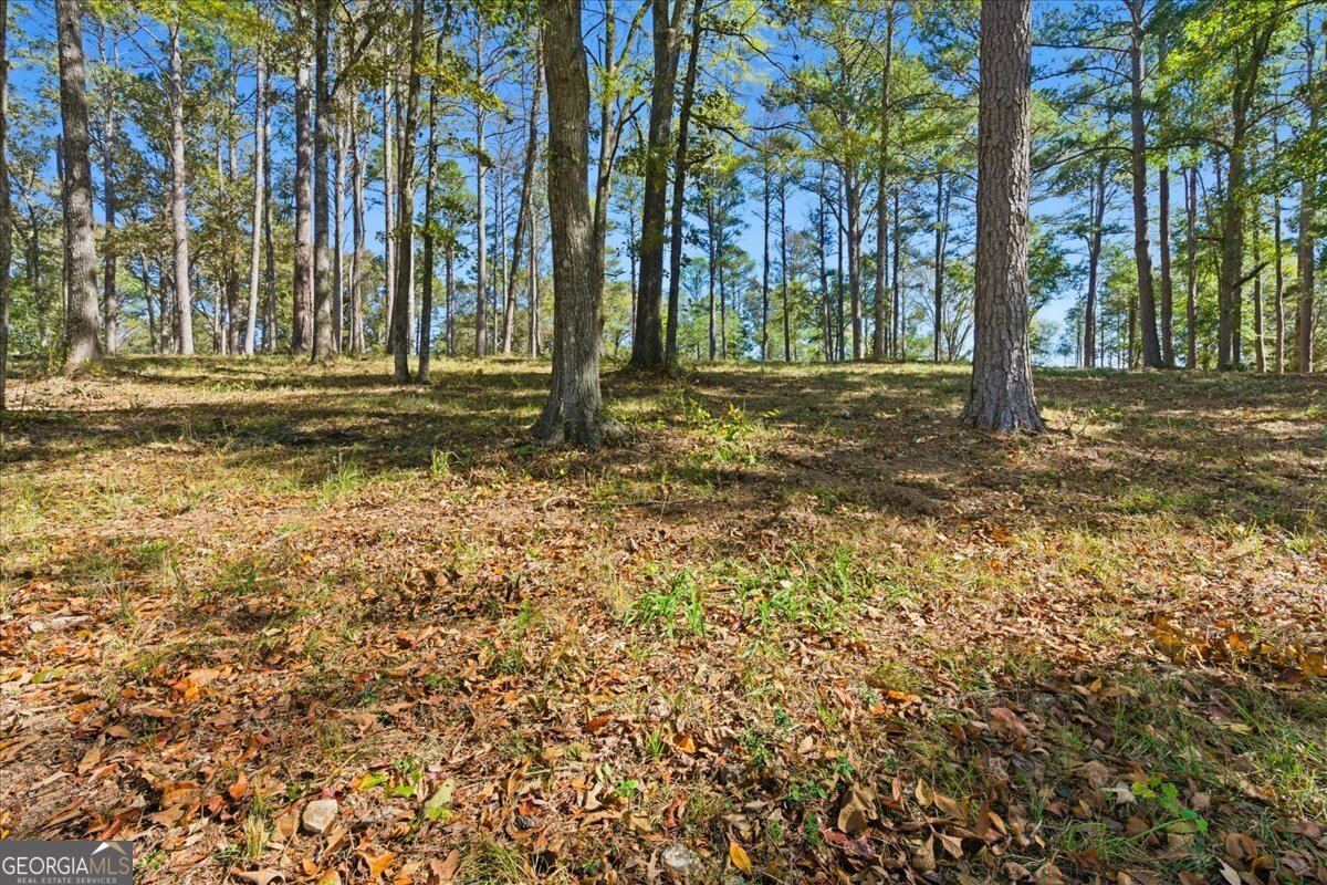 0 Cave Spring Road Cedartown GA 30125