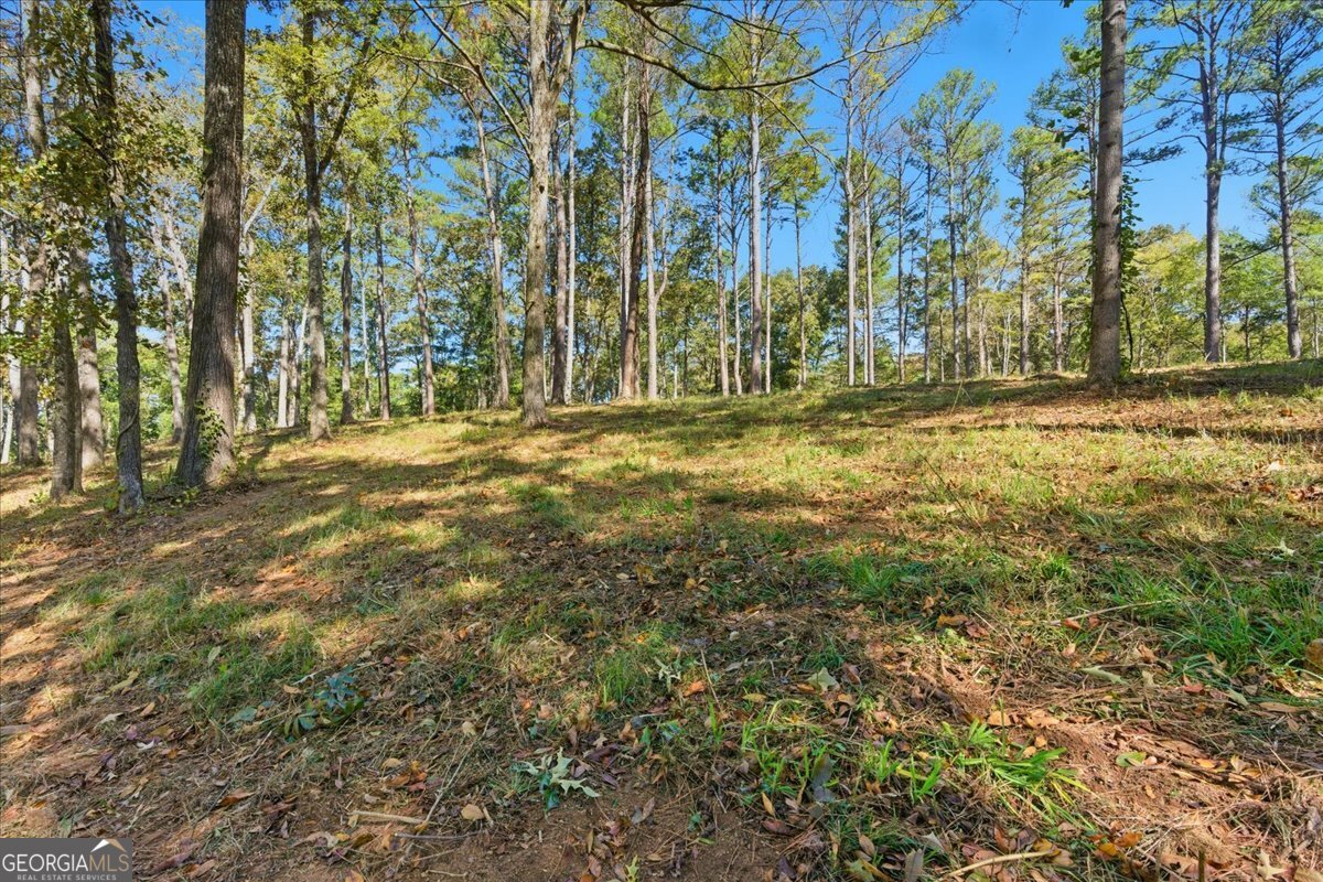 0 Cave Spring Road Cedartown GA 30125