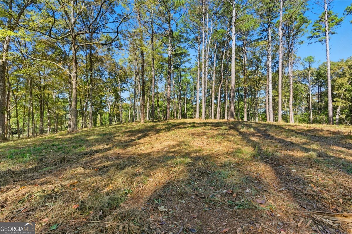 0 Cave Spring Road Cedartown GA 30125