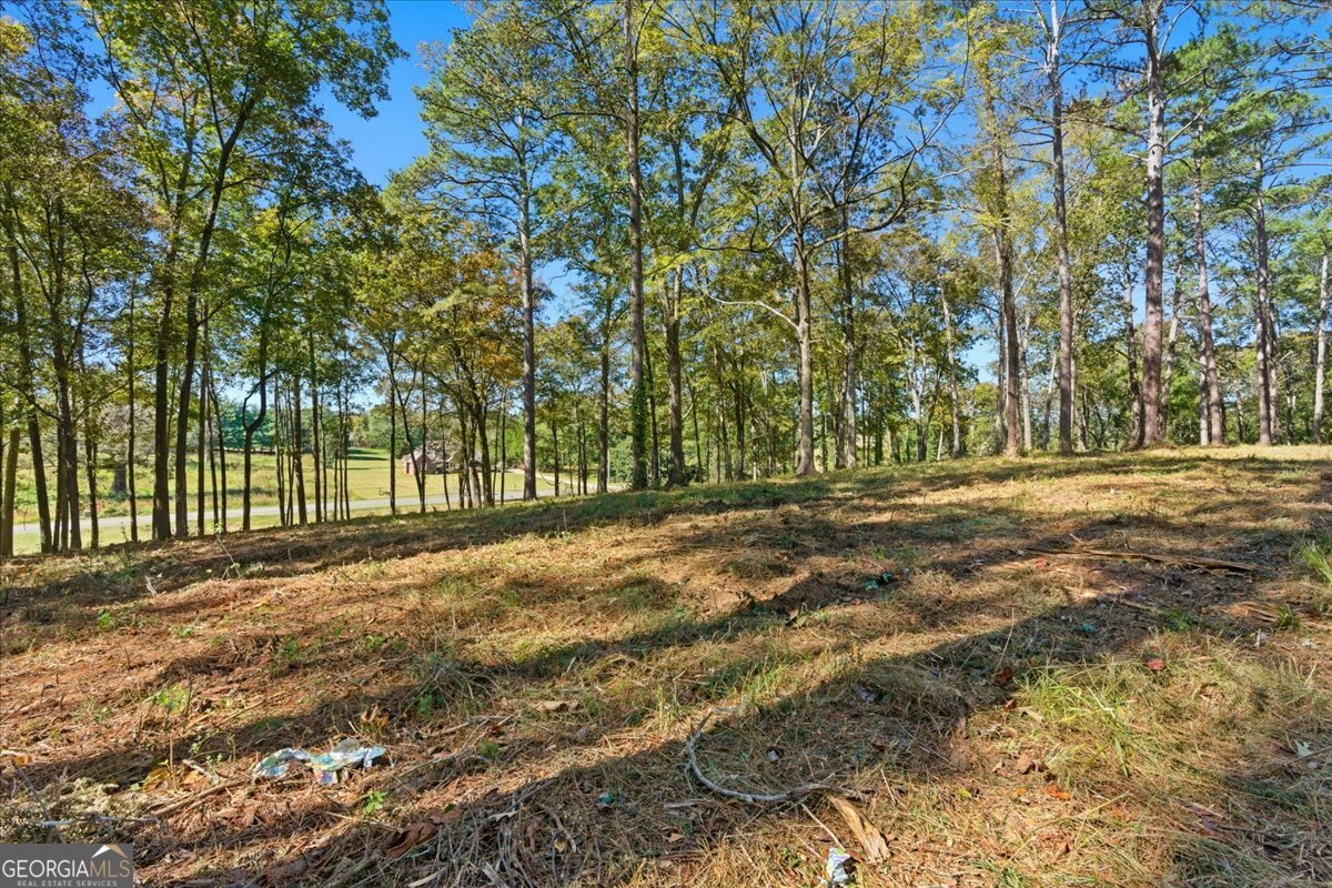 0 Cave Spring Road Cedartown GA 30125