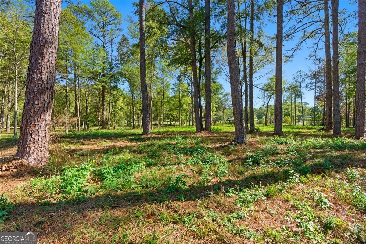 0 Cave Spring Road Cedartown GA 30125