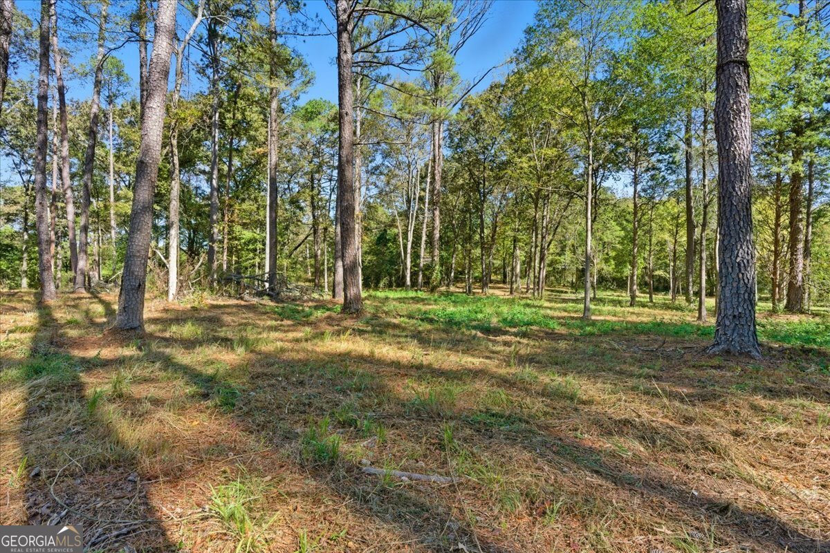 0 Cave Spring Road Cedartown GA 30125