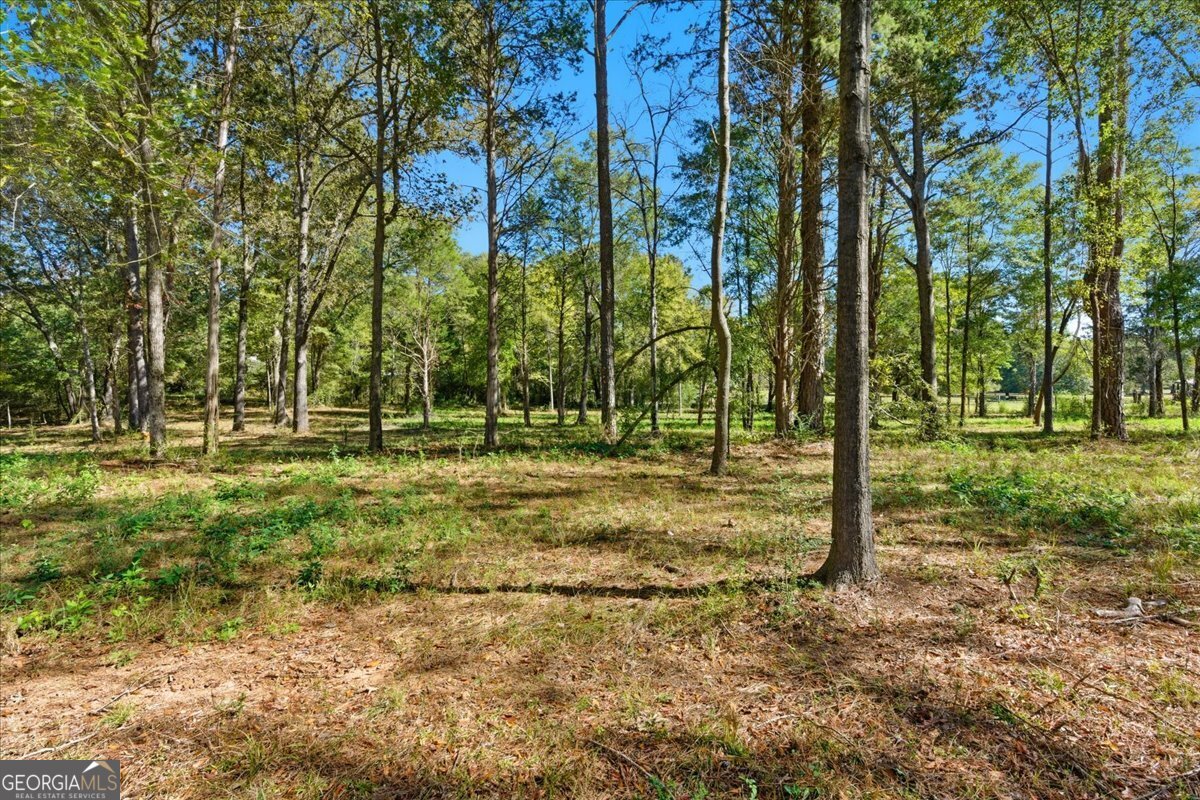 0 Cave Spring Road Cedartown GA 30125