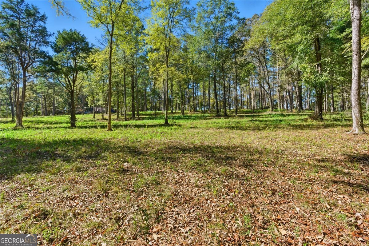 0 Cave Spring Road Cedartown GA 30125