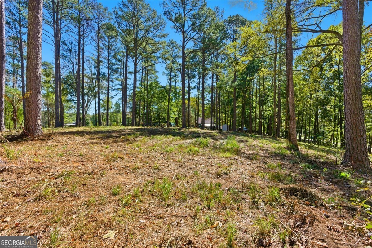 0 Cave Spring Road Cedartown GA 30125