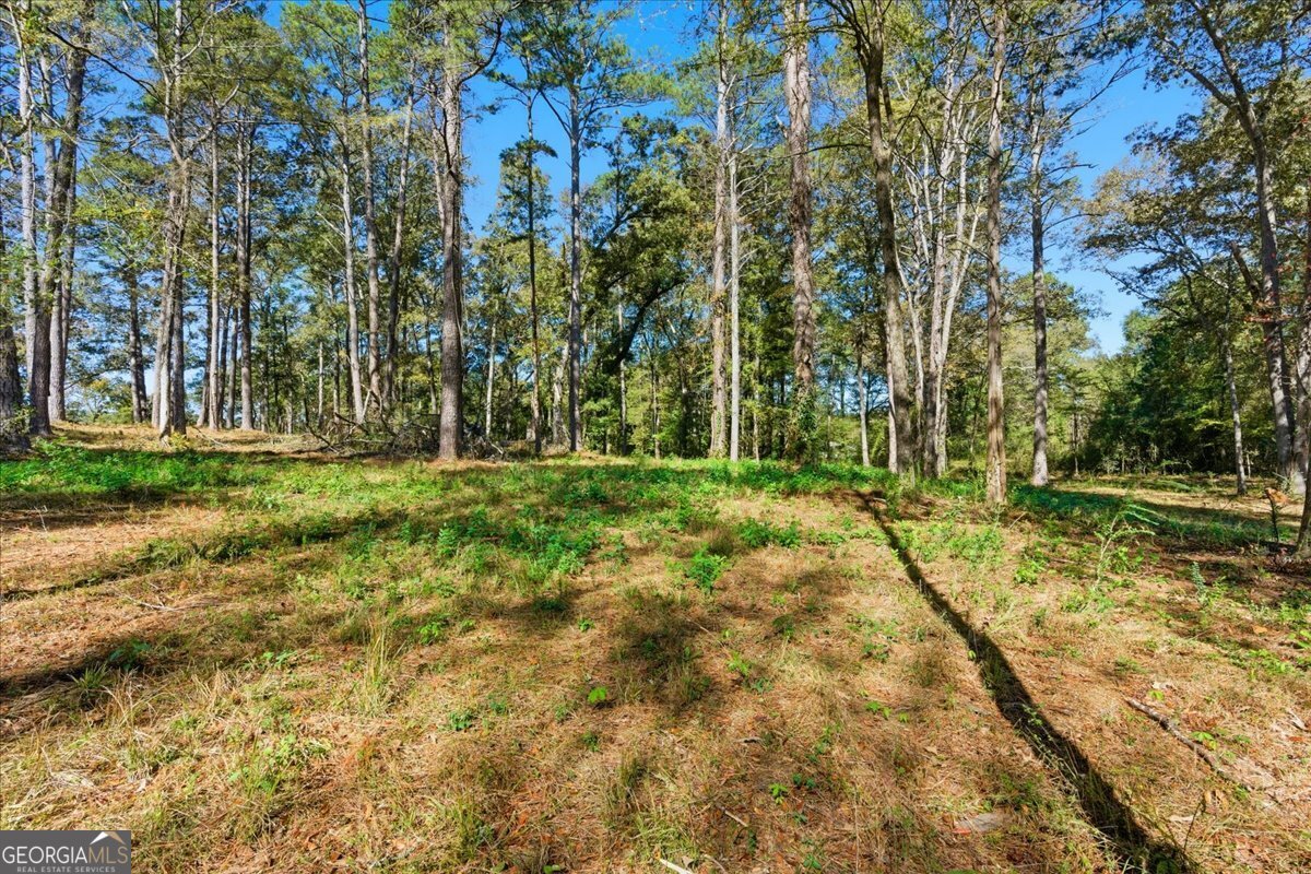 0 Cave Spring Road Cedartown GA 30125