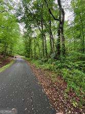 422 Dogwood Drive Canton GA 30114