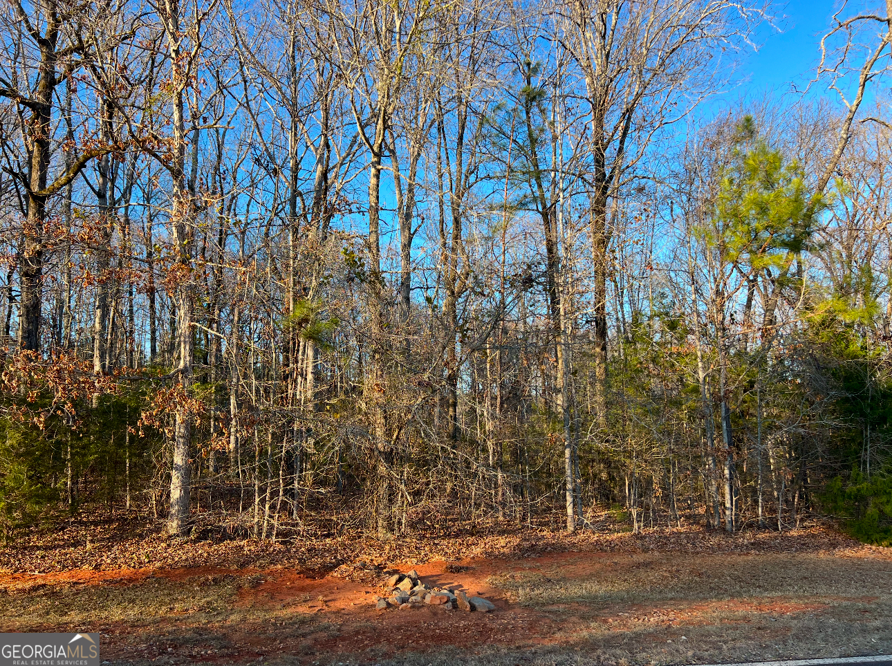 102 Gardens Drive Forsyth GA 31029