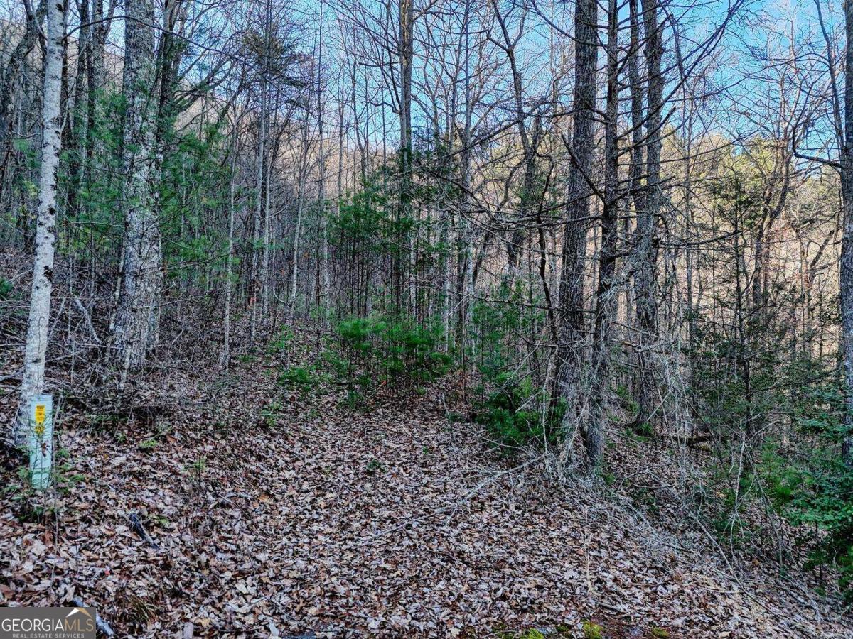 Lot 25 Highland Falls Blairsville GA 30512