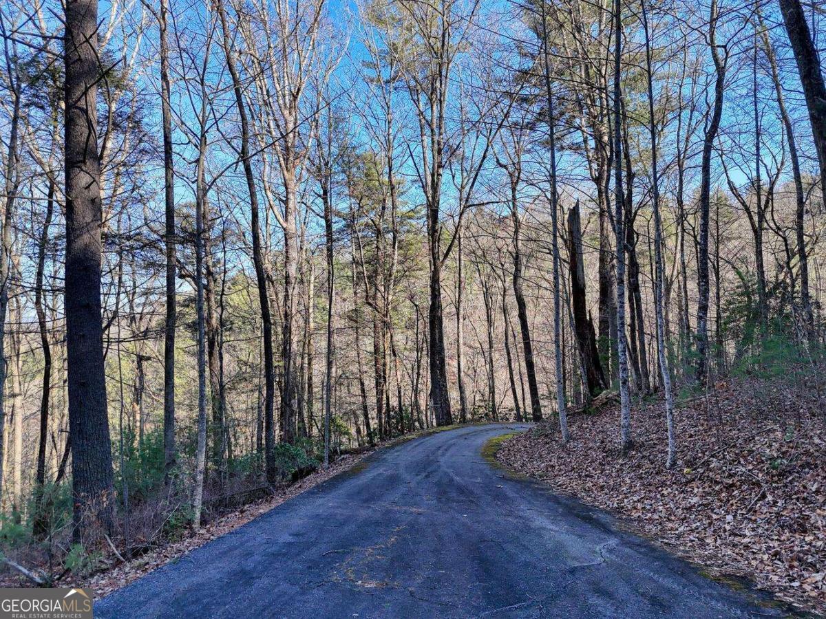 Lot 25 Highland Falls Blairsville GA 30512