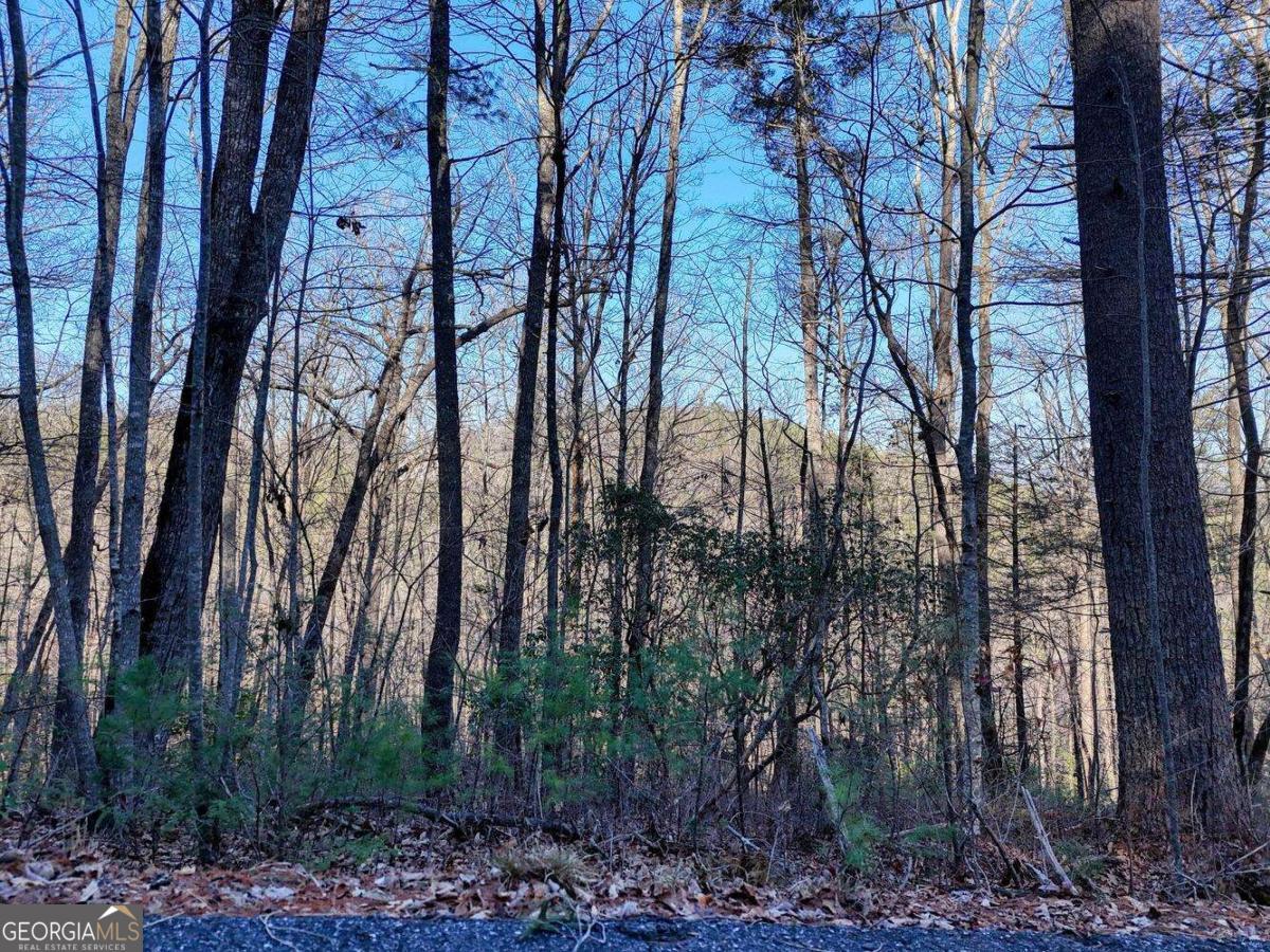 Lot 25 Highland Falls Blairsville GA 30512