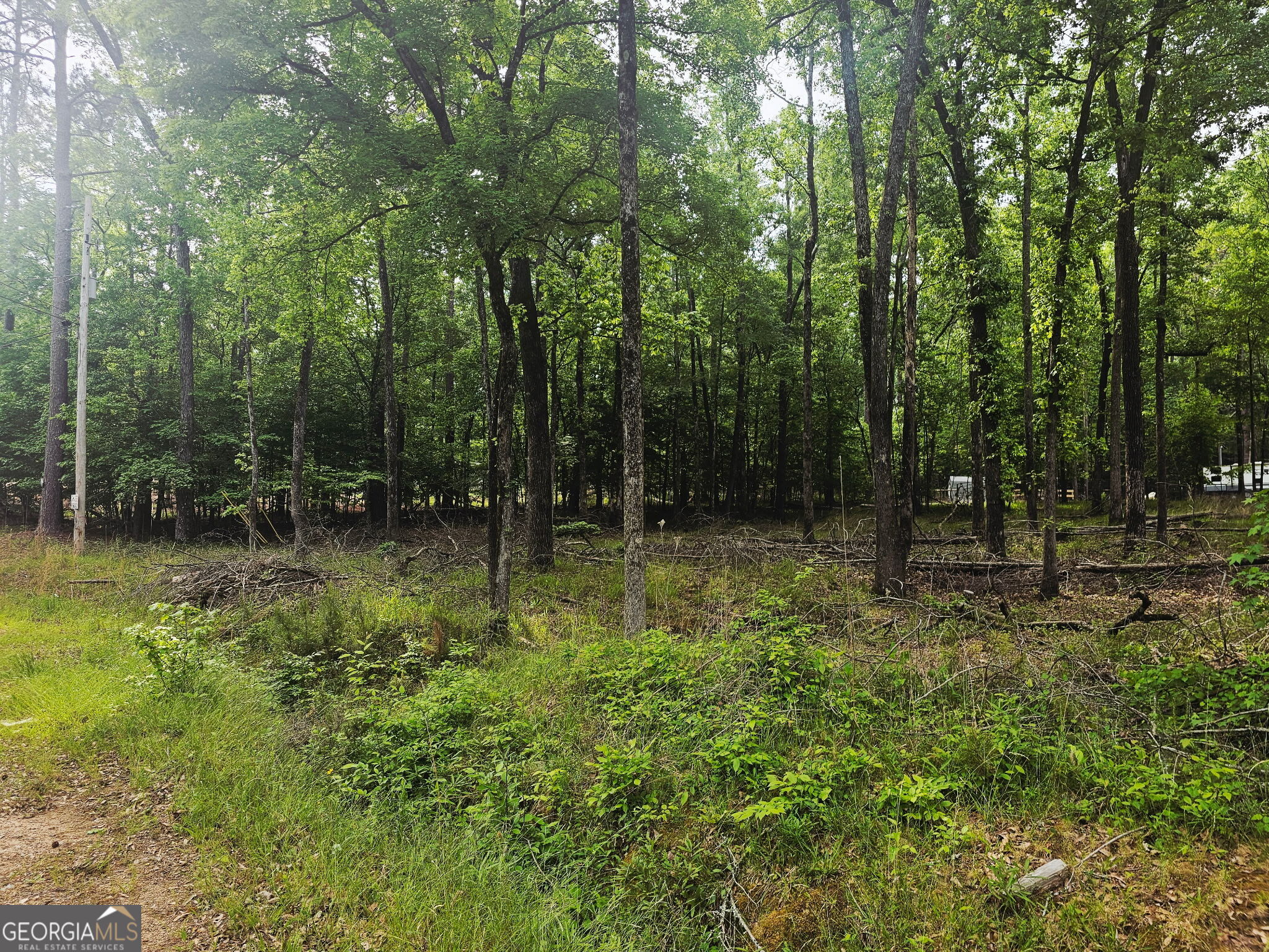0 Island Creek Sparta GA 31087