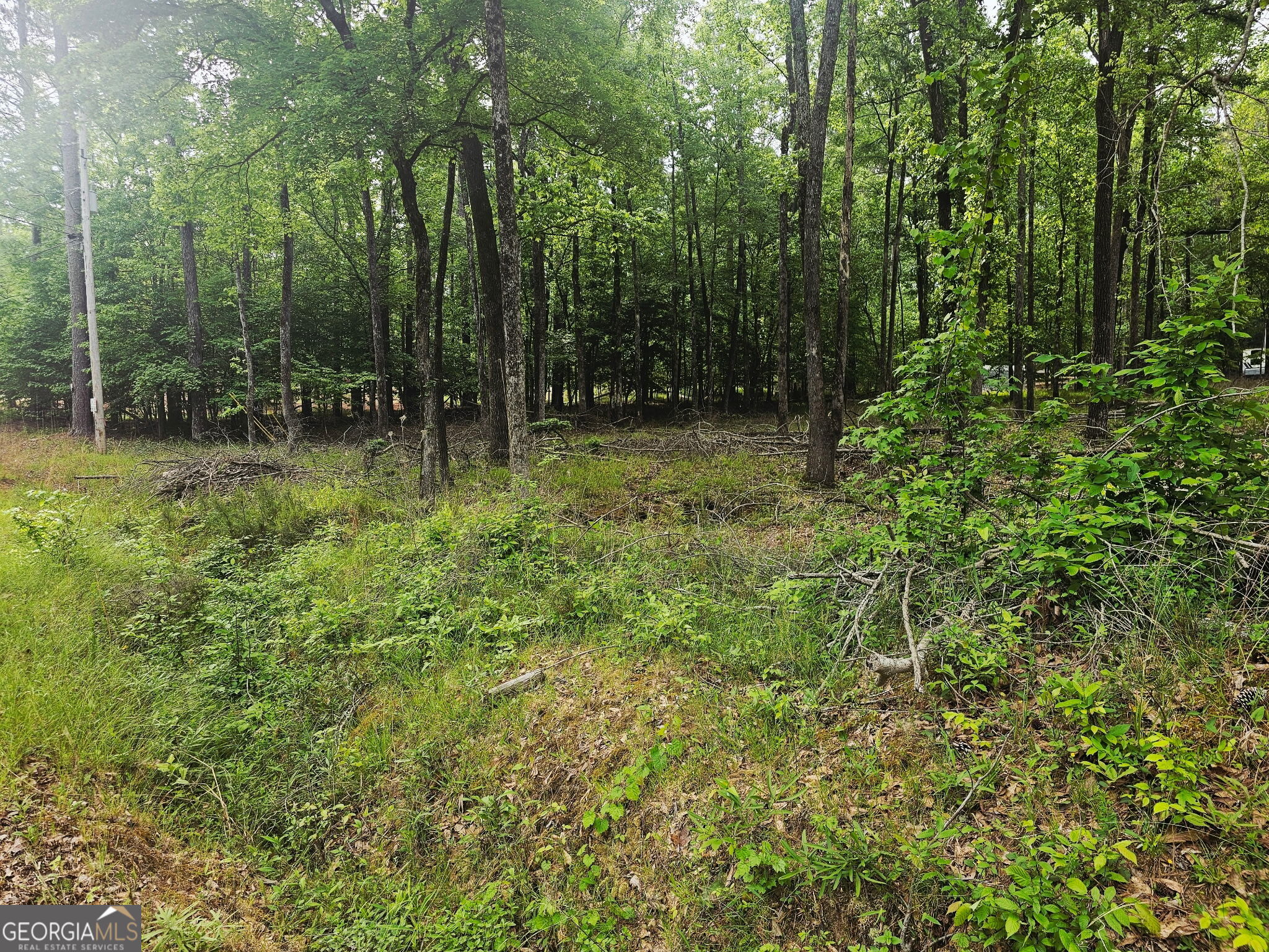 0 Island Creek Sparta GA 31087